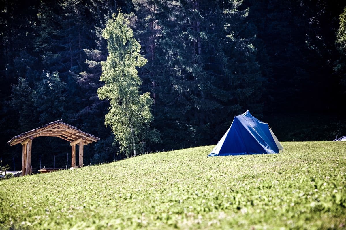 A tent pitched on a green forest meadow